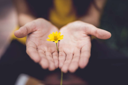 A set of hands holds out a small yellow flower.
